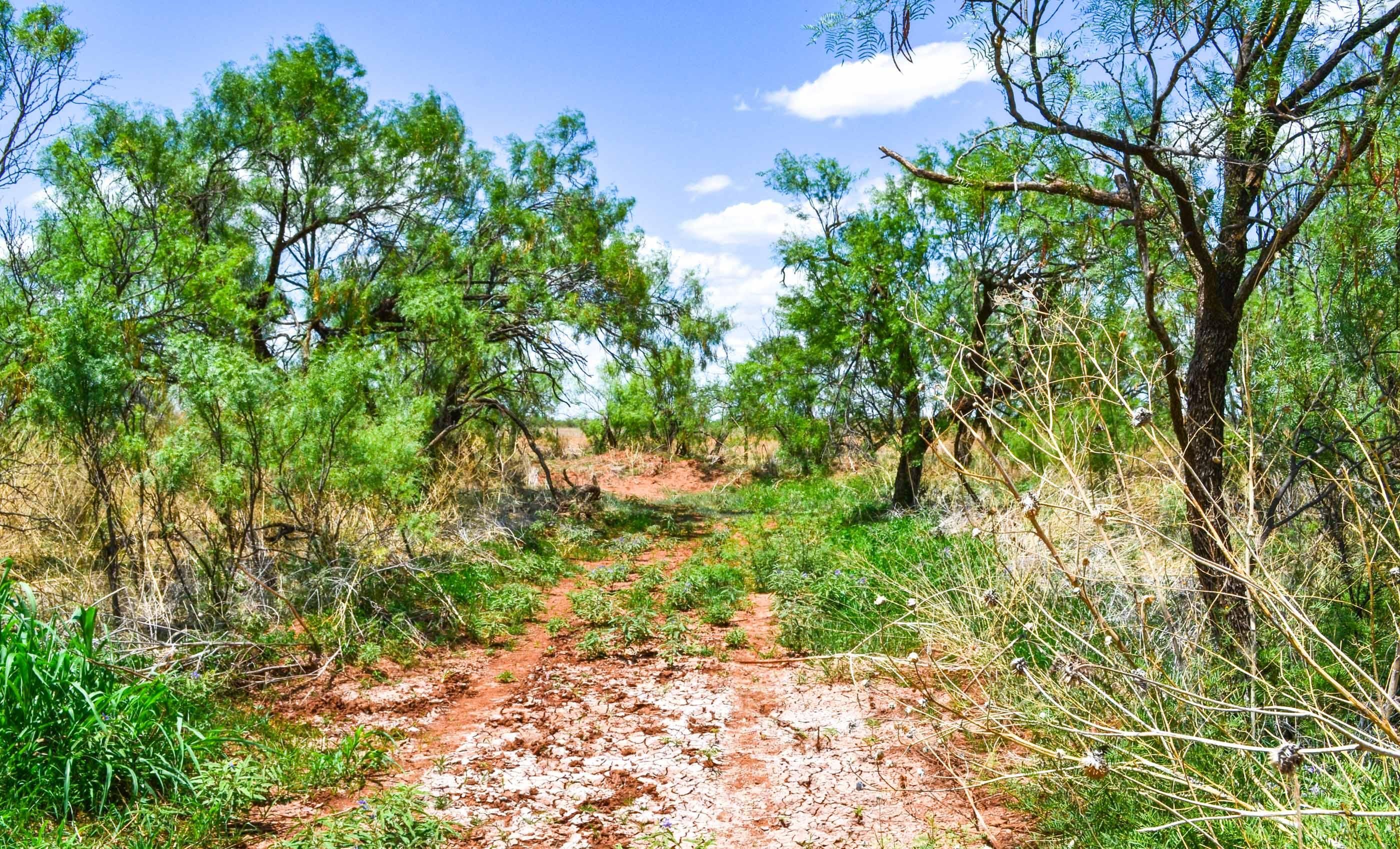 160 acres in Dickens County, Texas