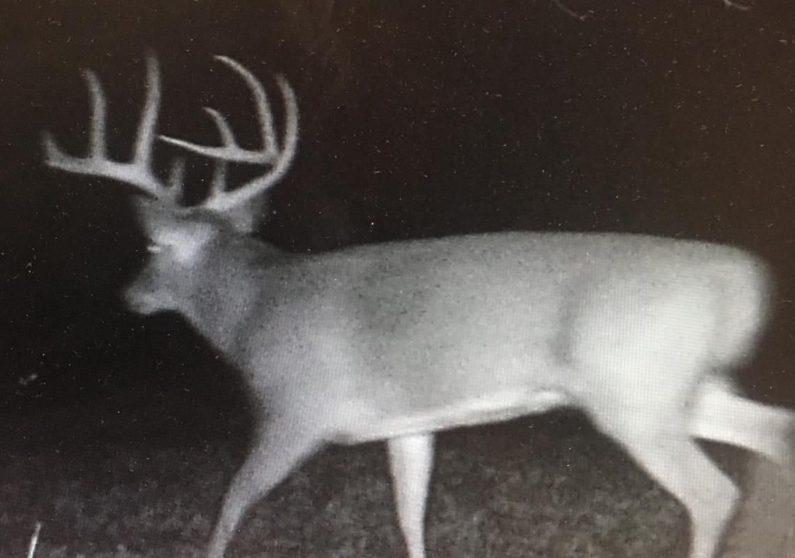 100 acres in Alexander County, Illinois