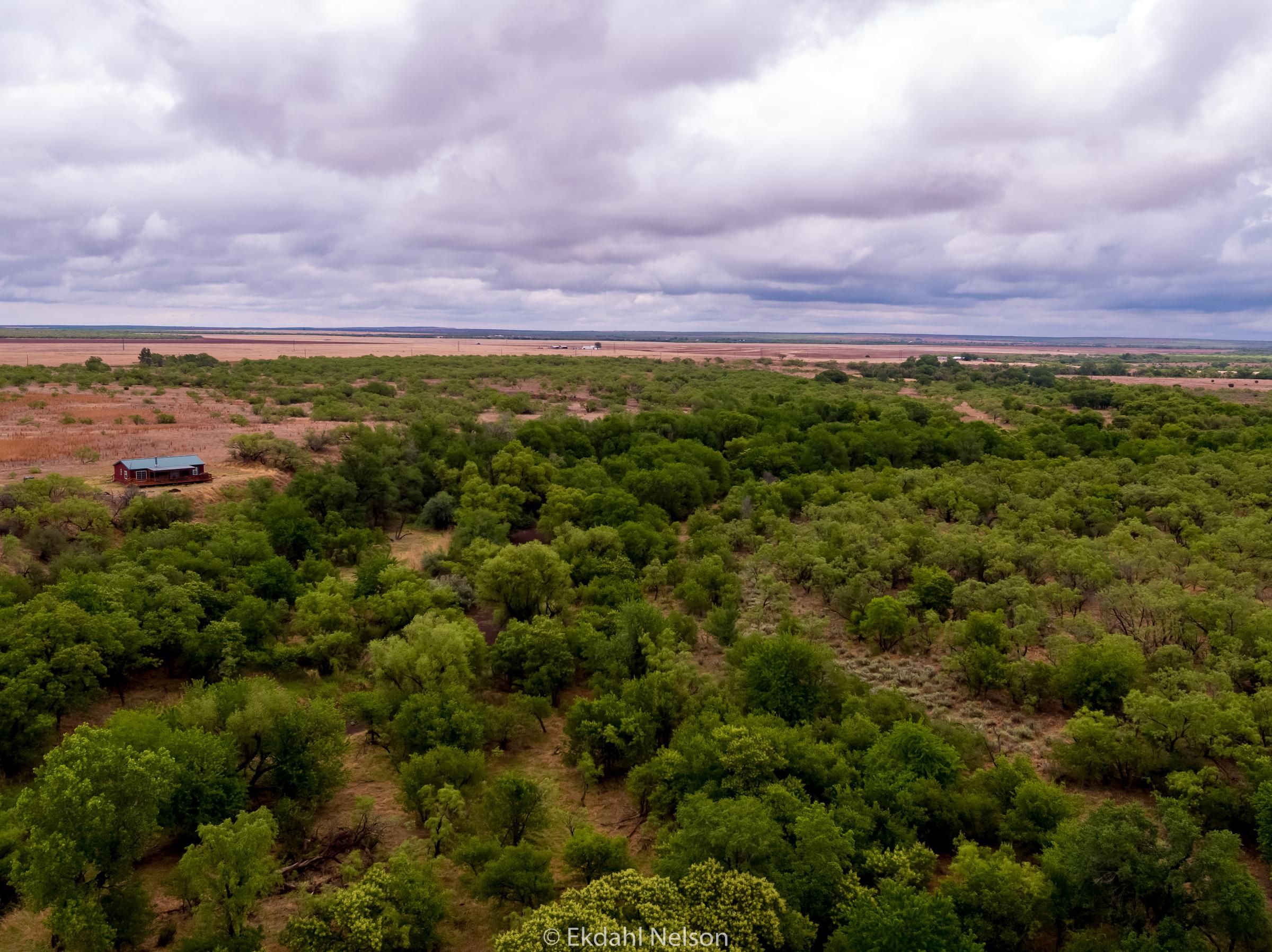 100 acres in Dickens County, Texas
