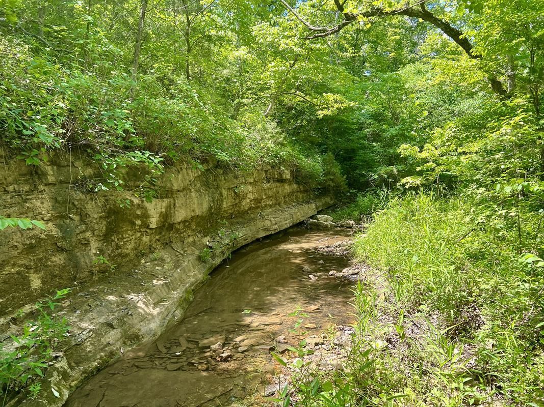 50 acres in Jefferson County, Missouri