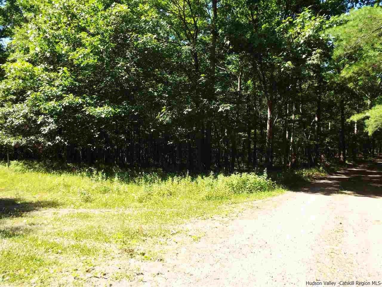 5 acres in Greene County, New York