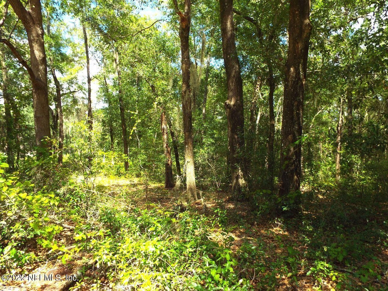 10 acres in Putnam County, Florida