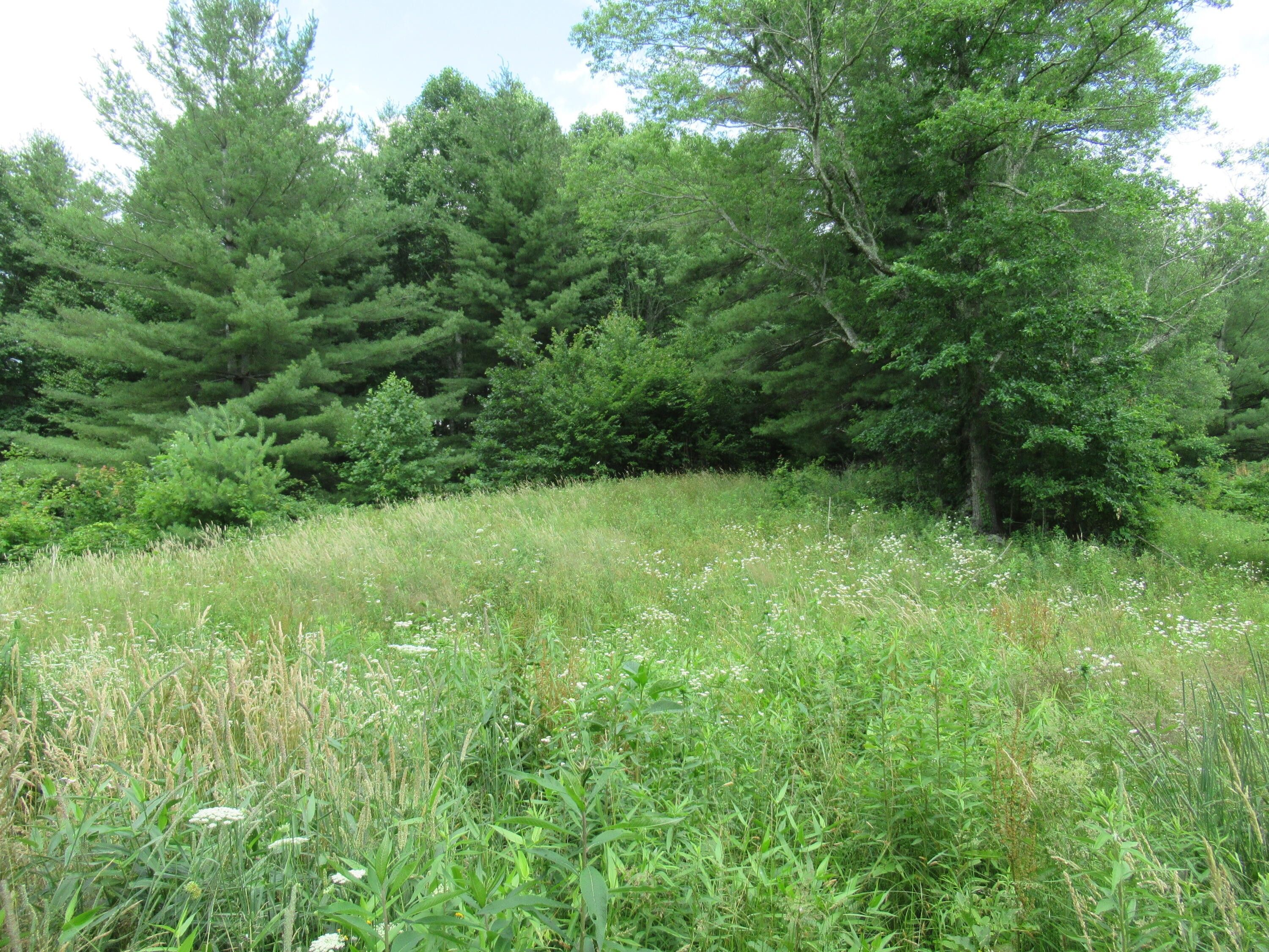 15 acres in Carter County, Tennessee