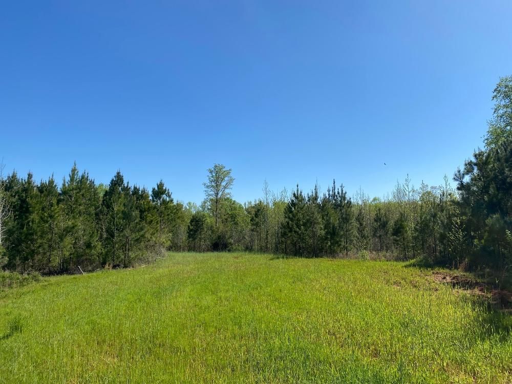 25.5 acres in Elbert County,