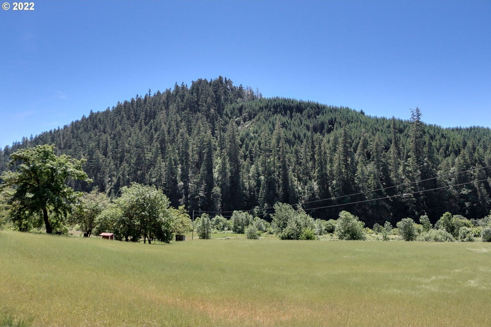 50.8 acres in Douglas County, Oregon