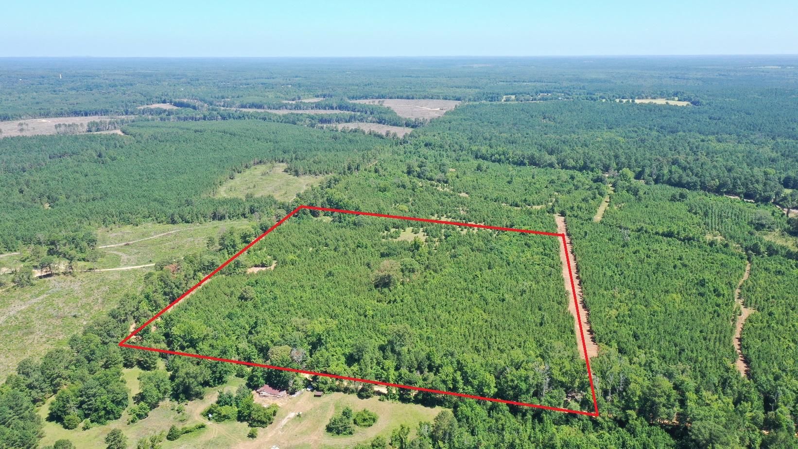 23 acres in Cass County, Texas