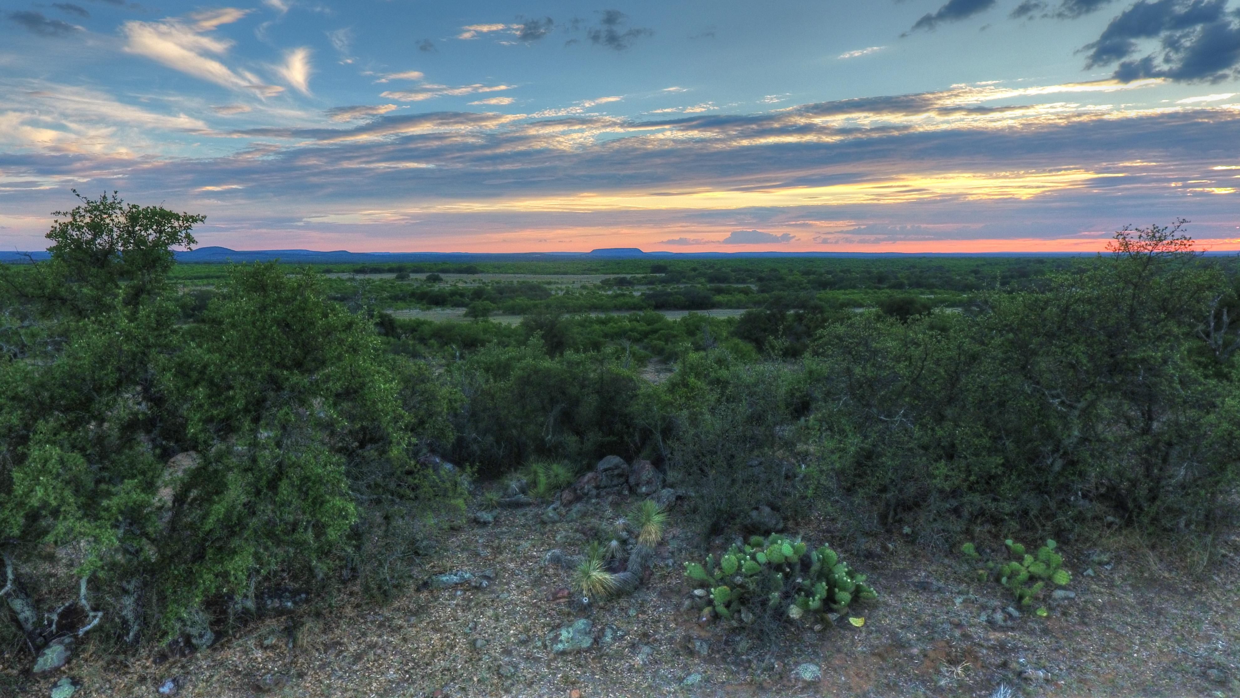 40 acres in Llano County, Texas