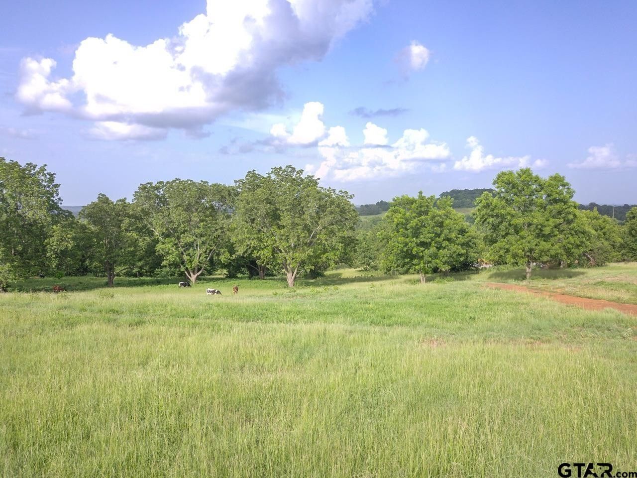 30 acres in Cherokee County, Texas