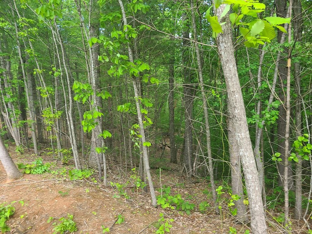 5 acres in Amherst County, Virginia