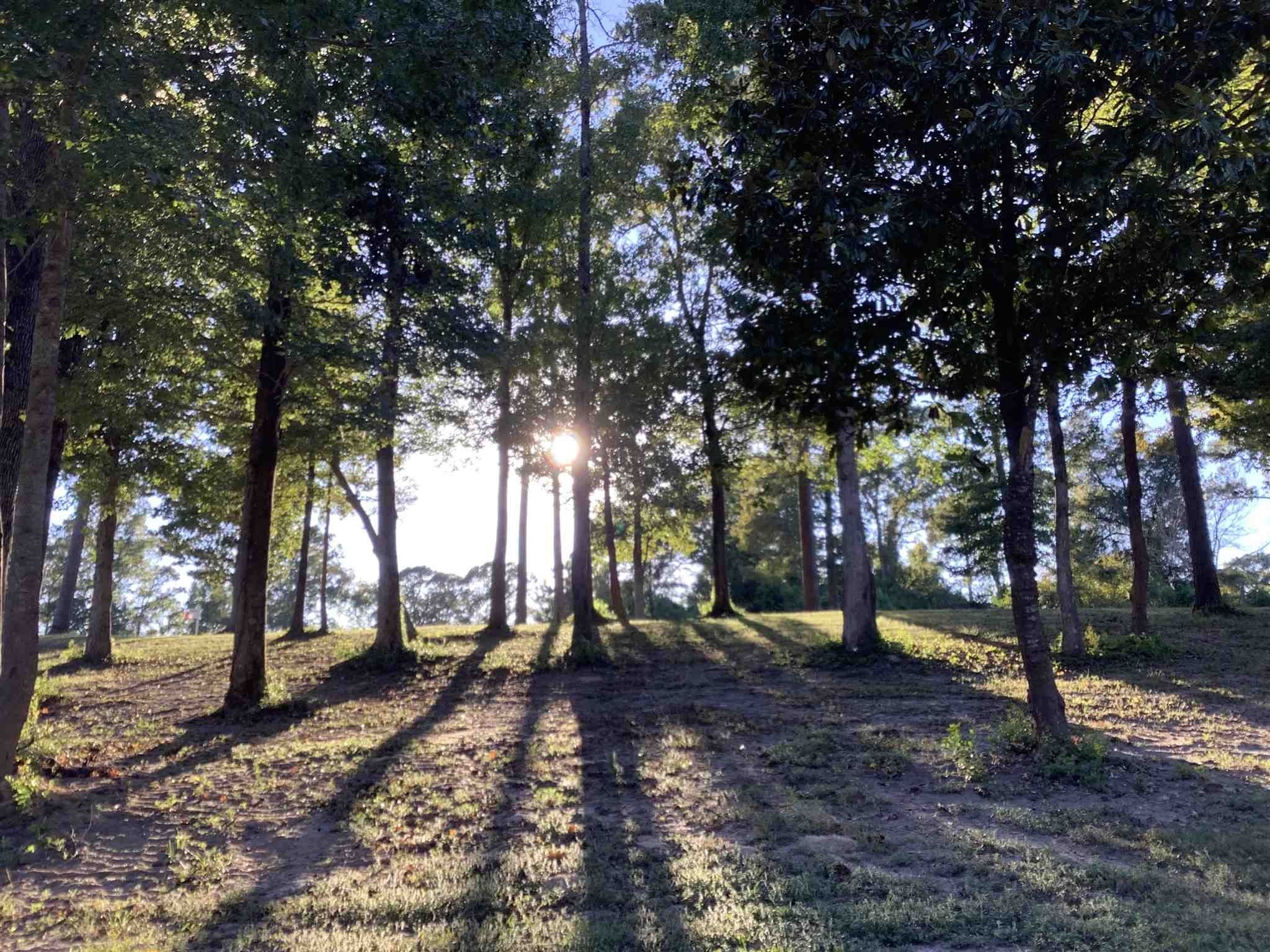 4 acres in Jasper County, Texas