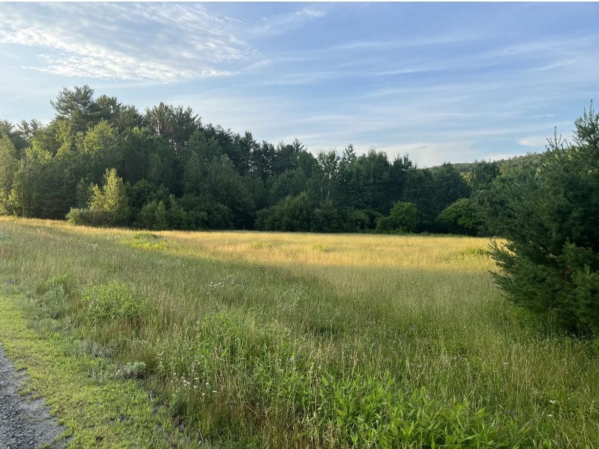 9.1 acres in Sullivan County, New Hampshire