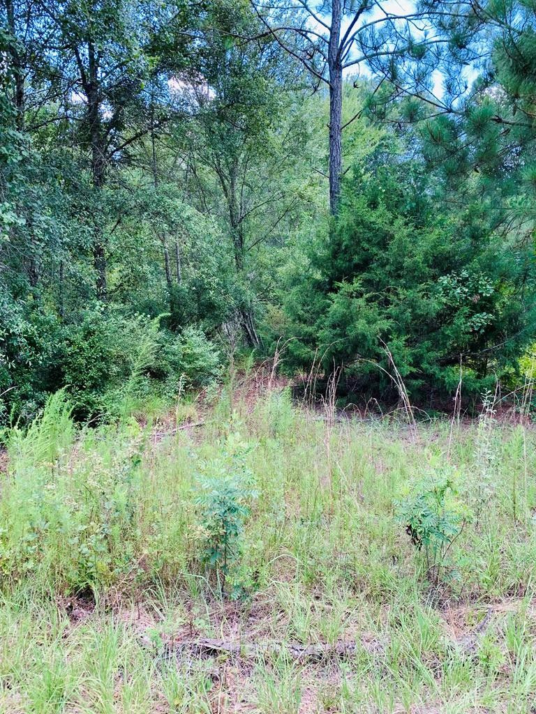 3.73 acres in Lanier County,