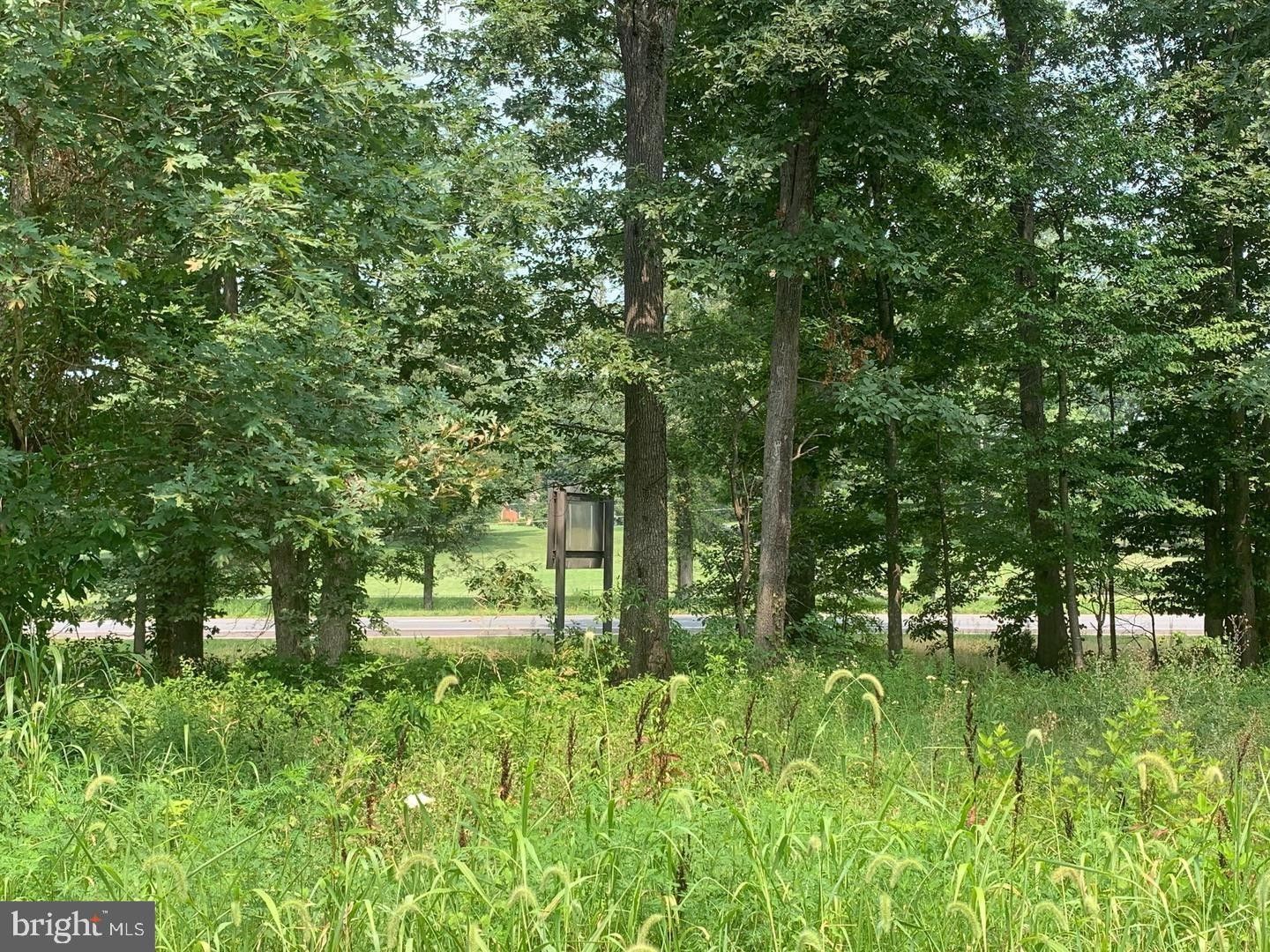 4 acres in Madison County, Virginia