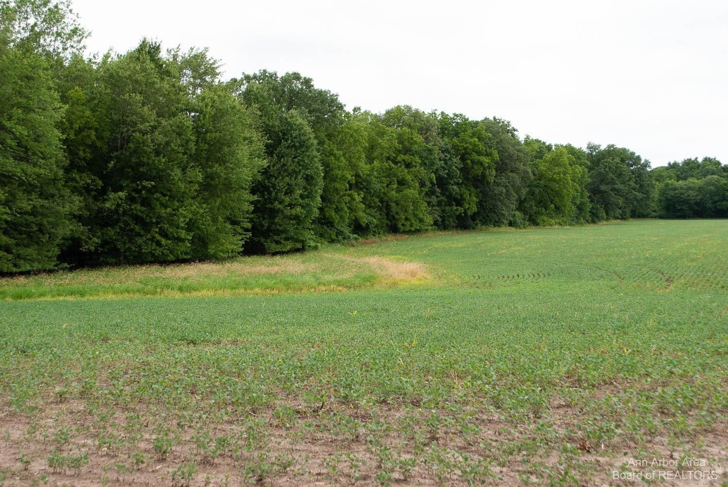 40 acres in Washtenaw County, Michigan