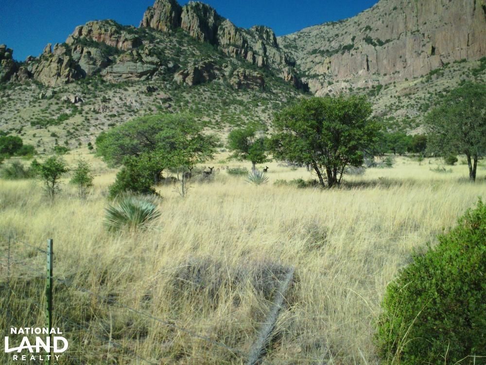 40 acres in Cochise County, Arizona
