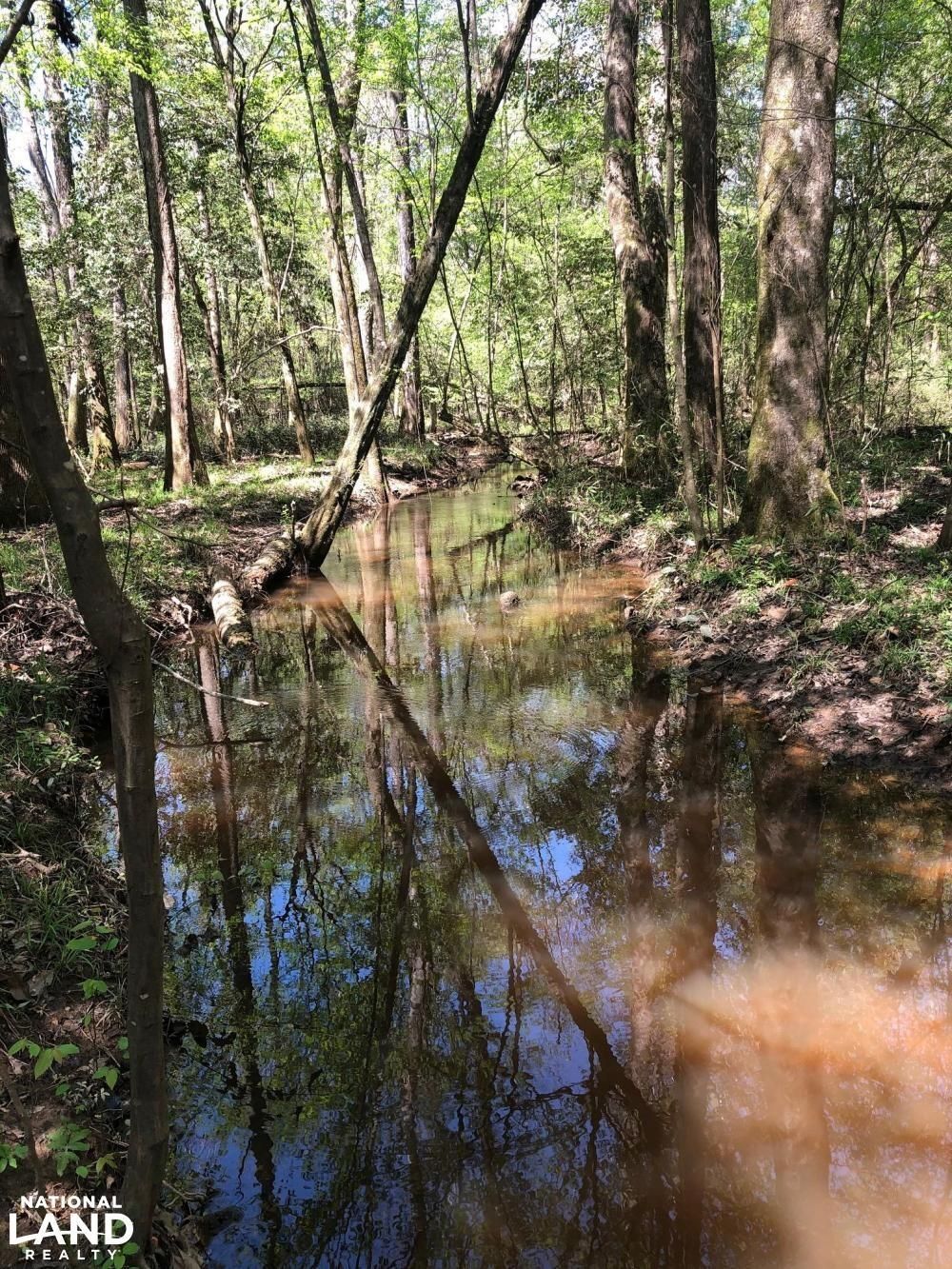 119 acres in Conecuh County, Alabama