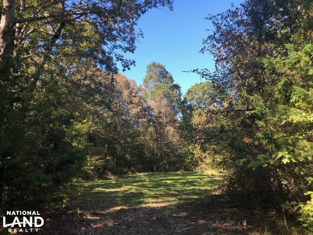 240 acres in Holmes County, Mississippi