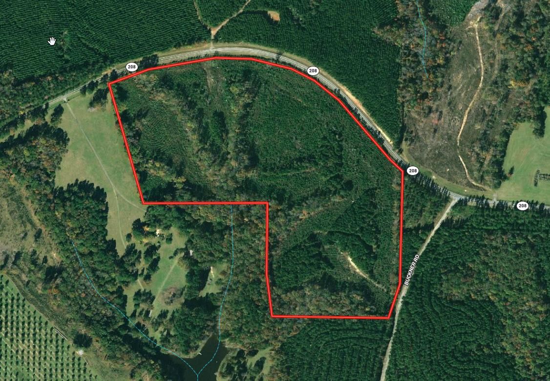 54.95 acres in Junction City, GA, 31812 MLS 20055954