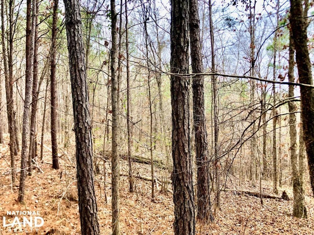 48.92 acres in Jefferson County, Alabama