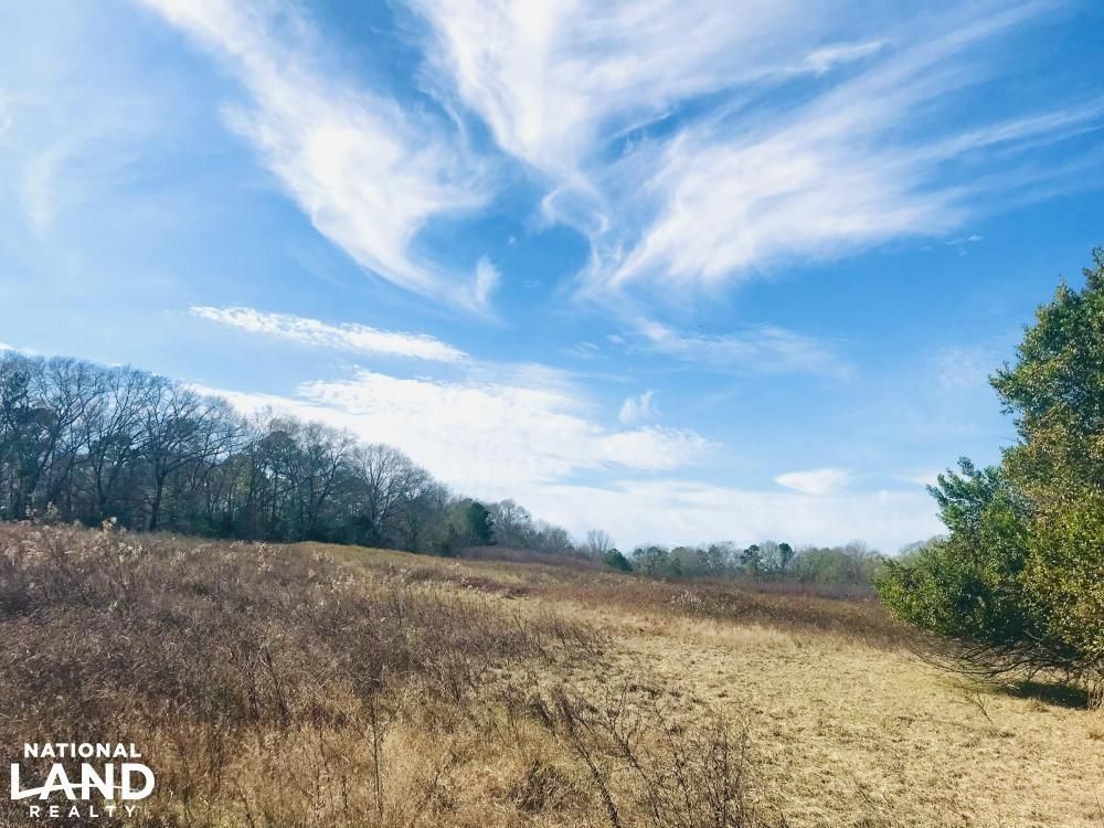 34 acres in Marion County,