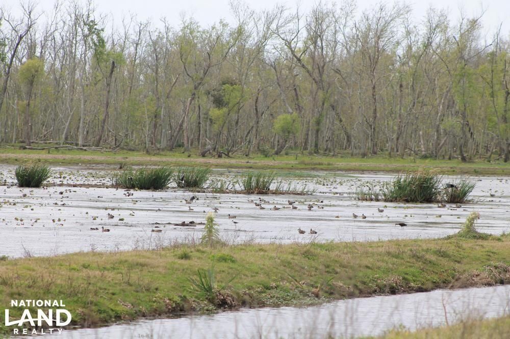 1,539 acres in Vermilion Parish, Louisiana
