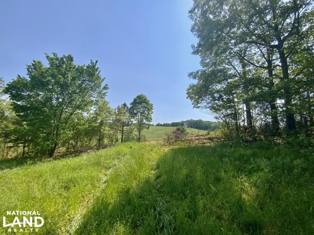 12 acres in Newton County, Arkansas