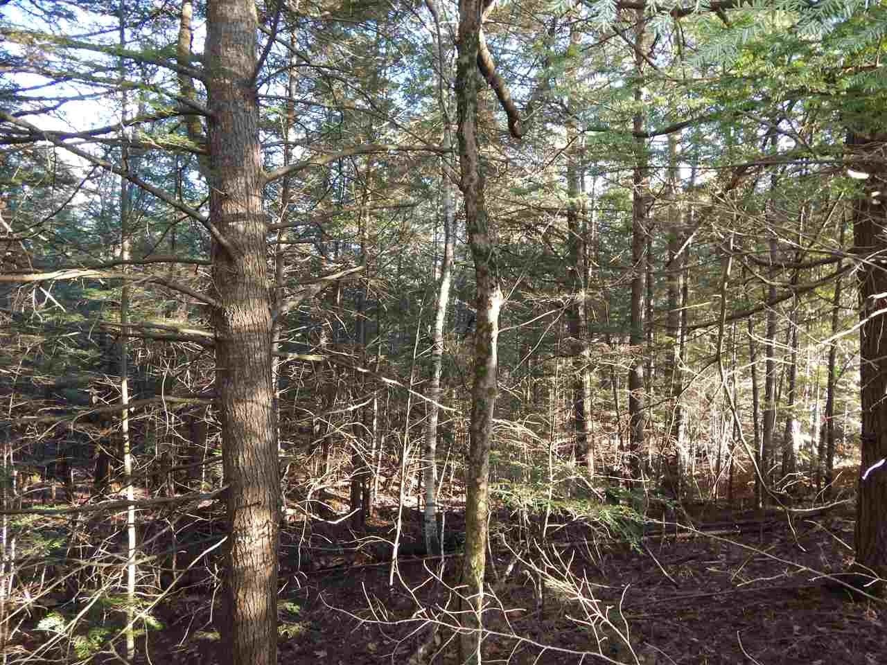 10.3 acres in Merrimack County, New Hampshire