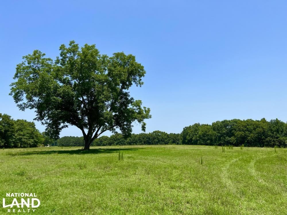 182 acres in Barbour County, Alabama