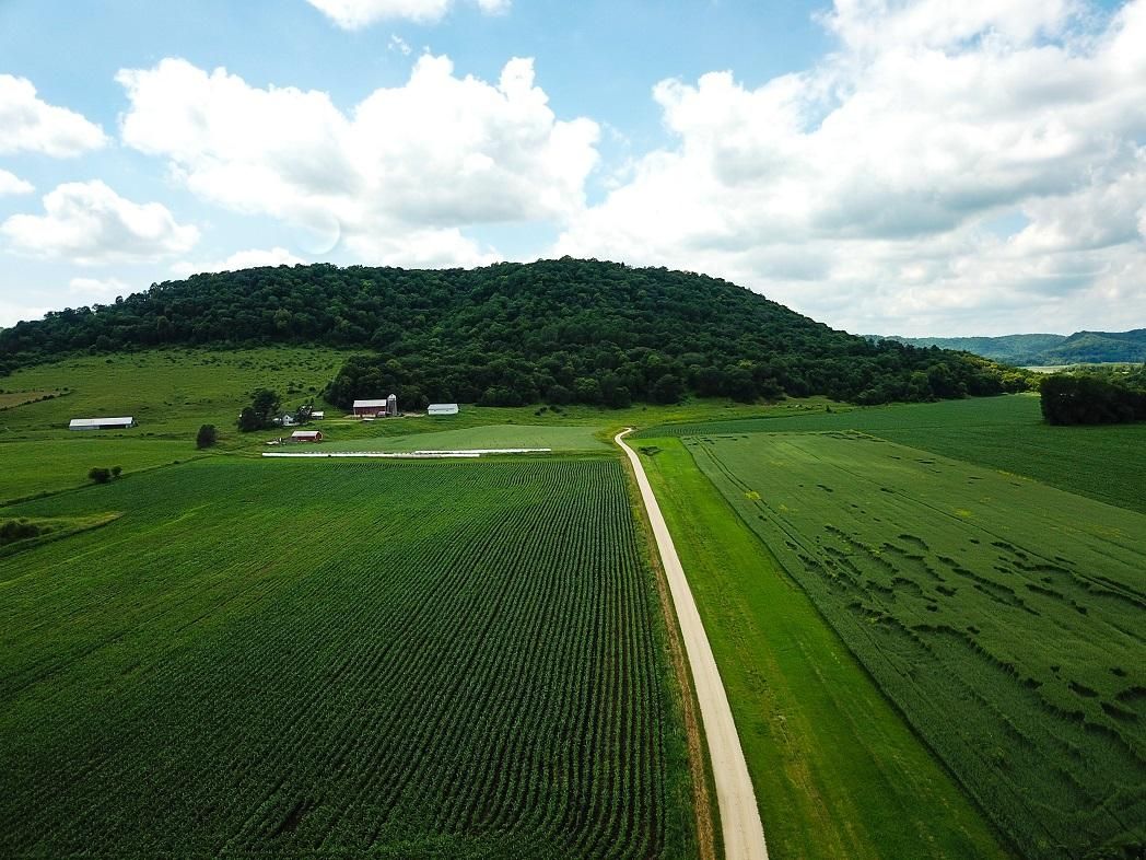 320 acres in Fillmore County, Minnesota