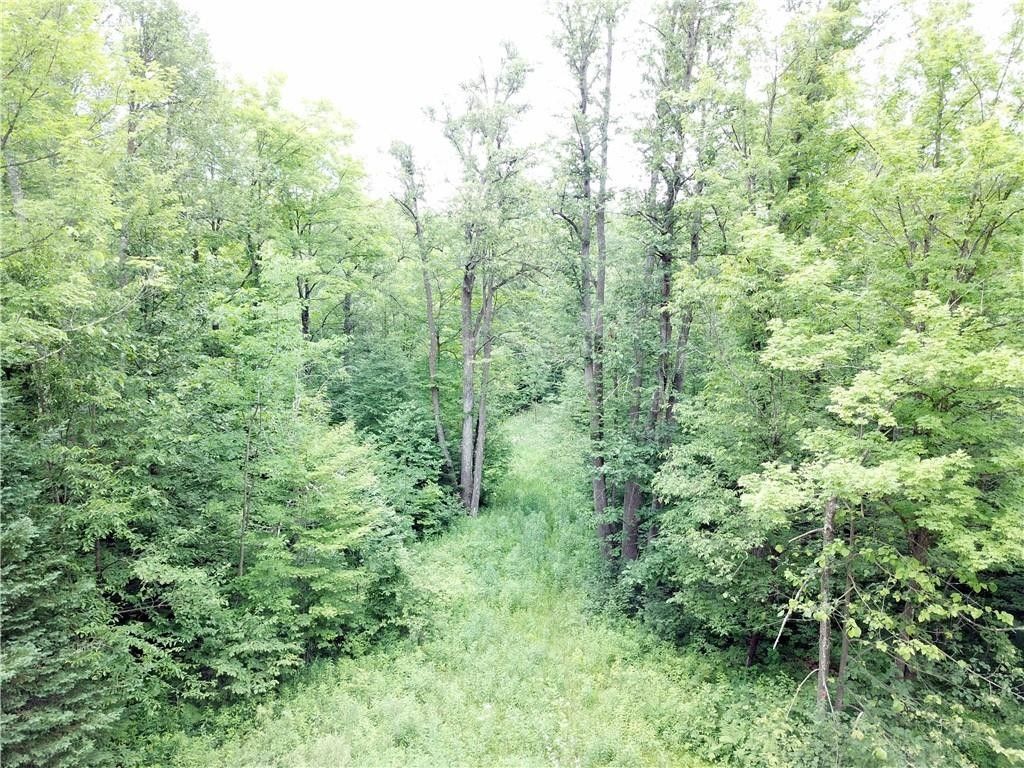 40 acres in Rusk County, Wisconsin