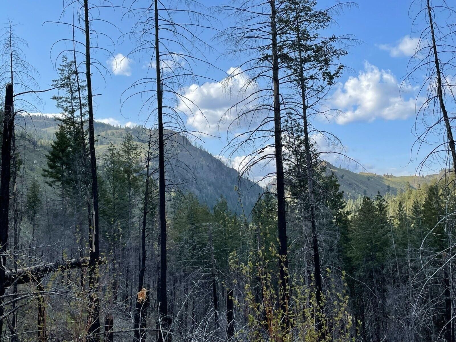 0.14 acres in Okanogan County, Washington