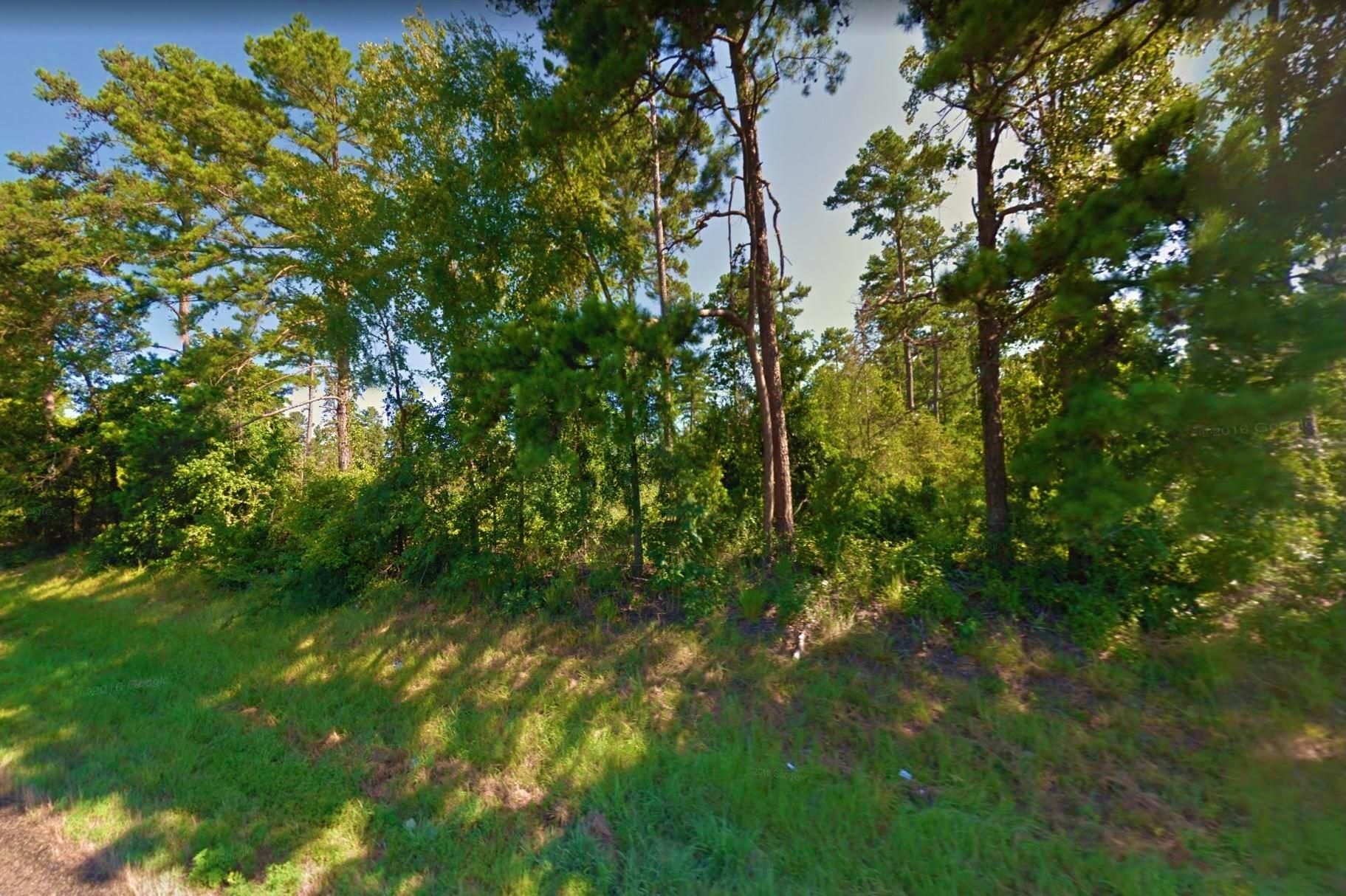 Ravenwood Loop, Avinger, TX 75630