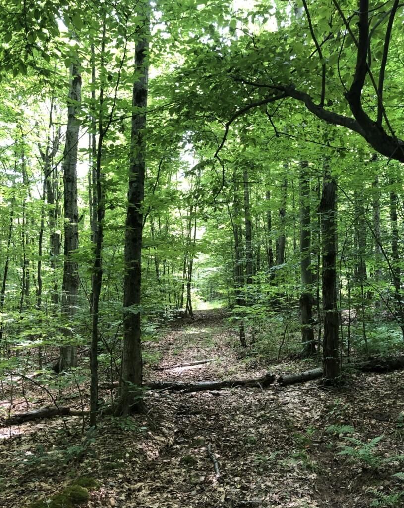 31 acres in Broome County, New York