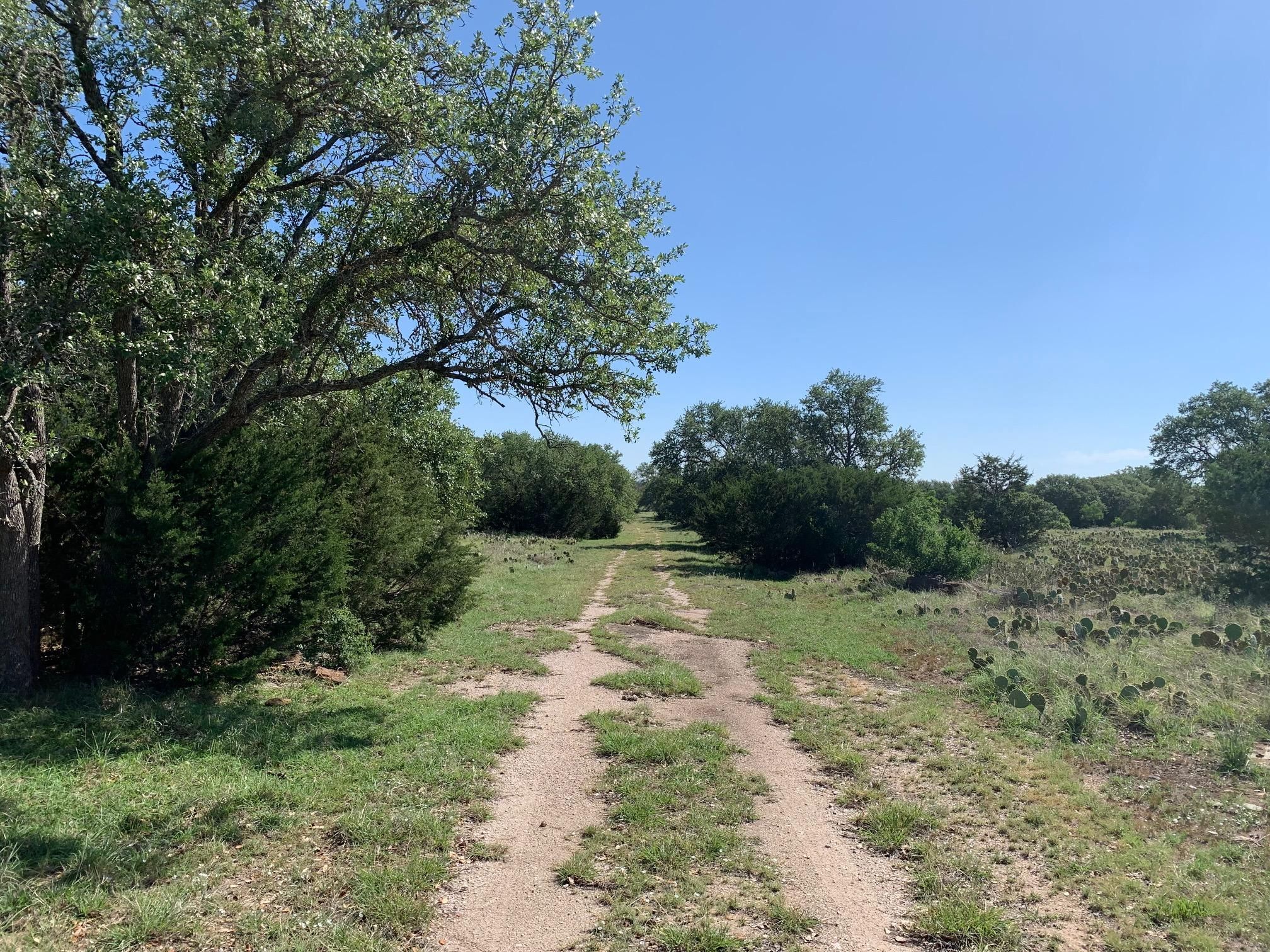 70 acres in County, Texas