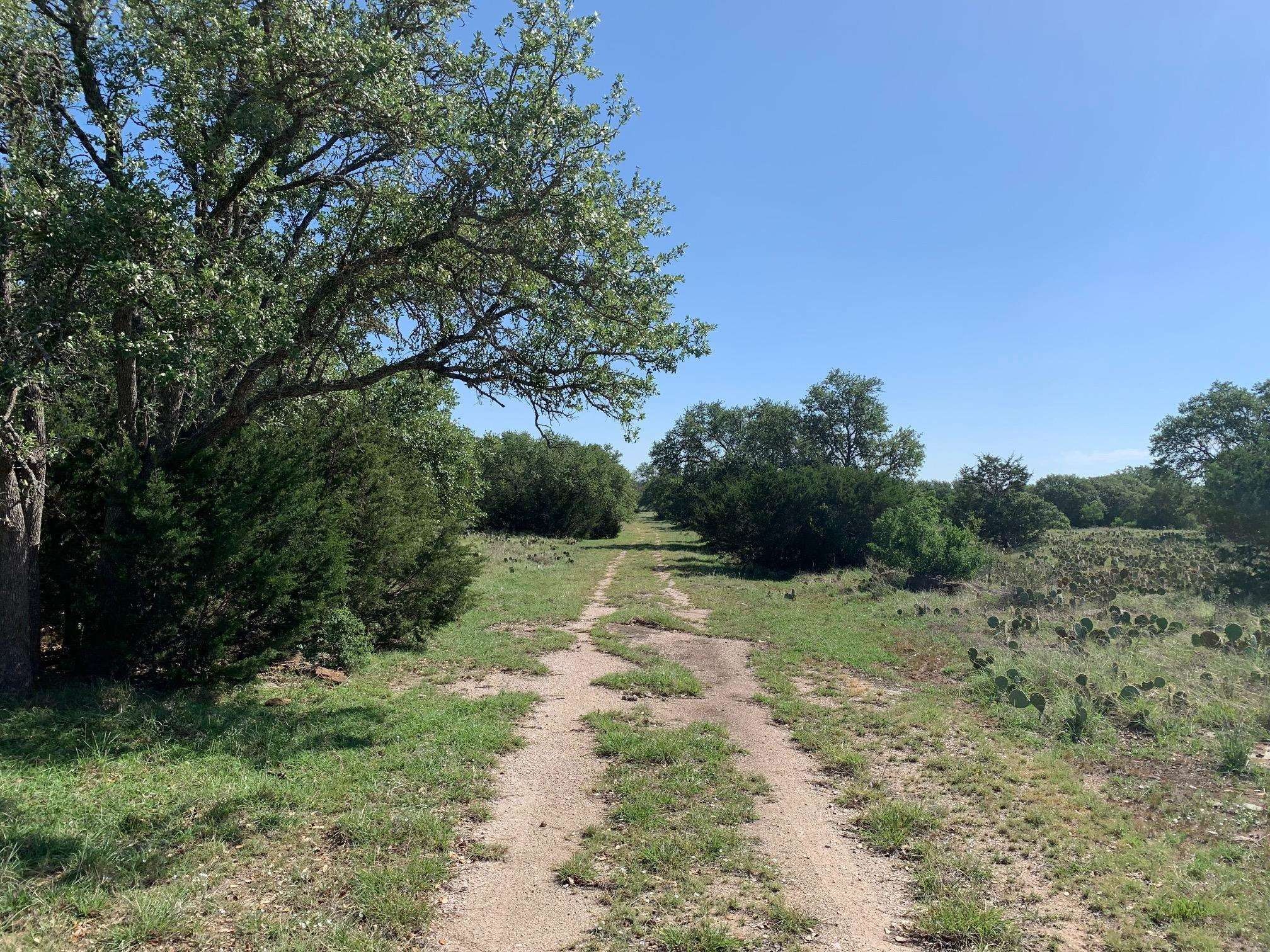 70 acres in County, Texas