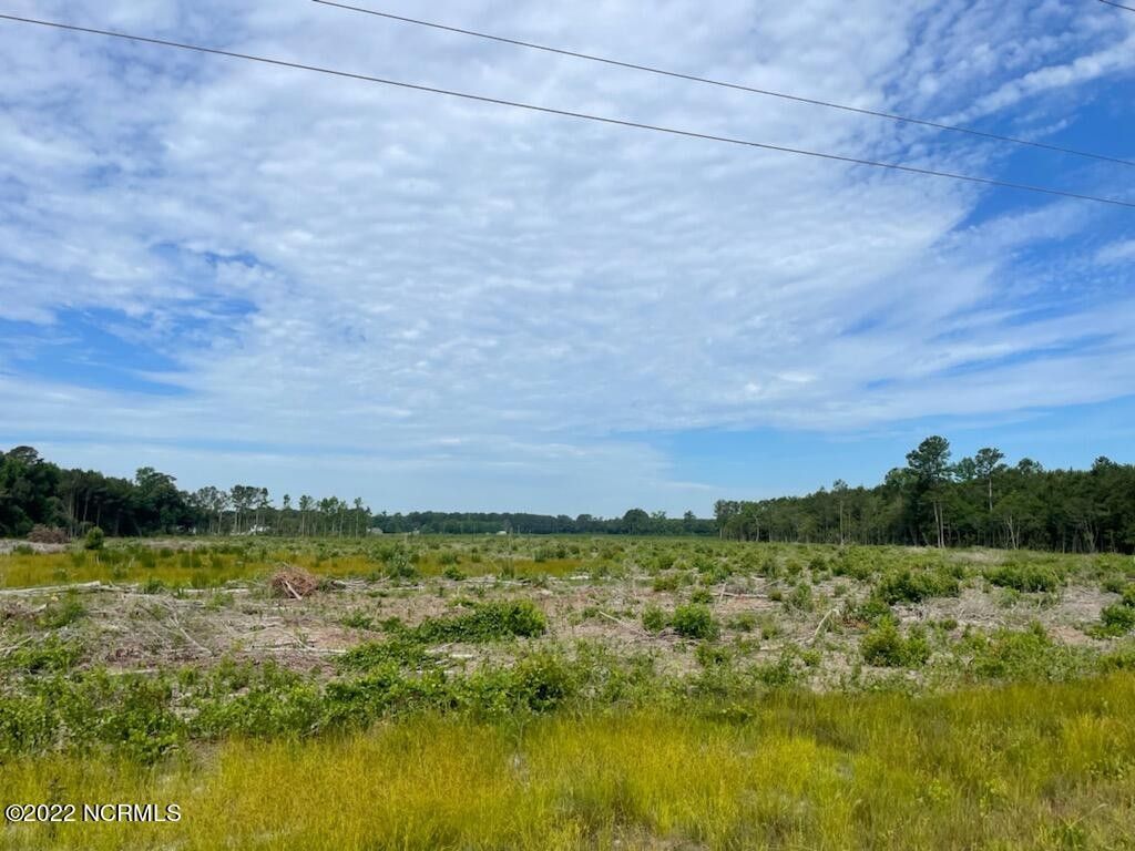 17 acres in Wayne County, North Carolina