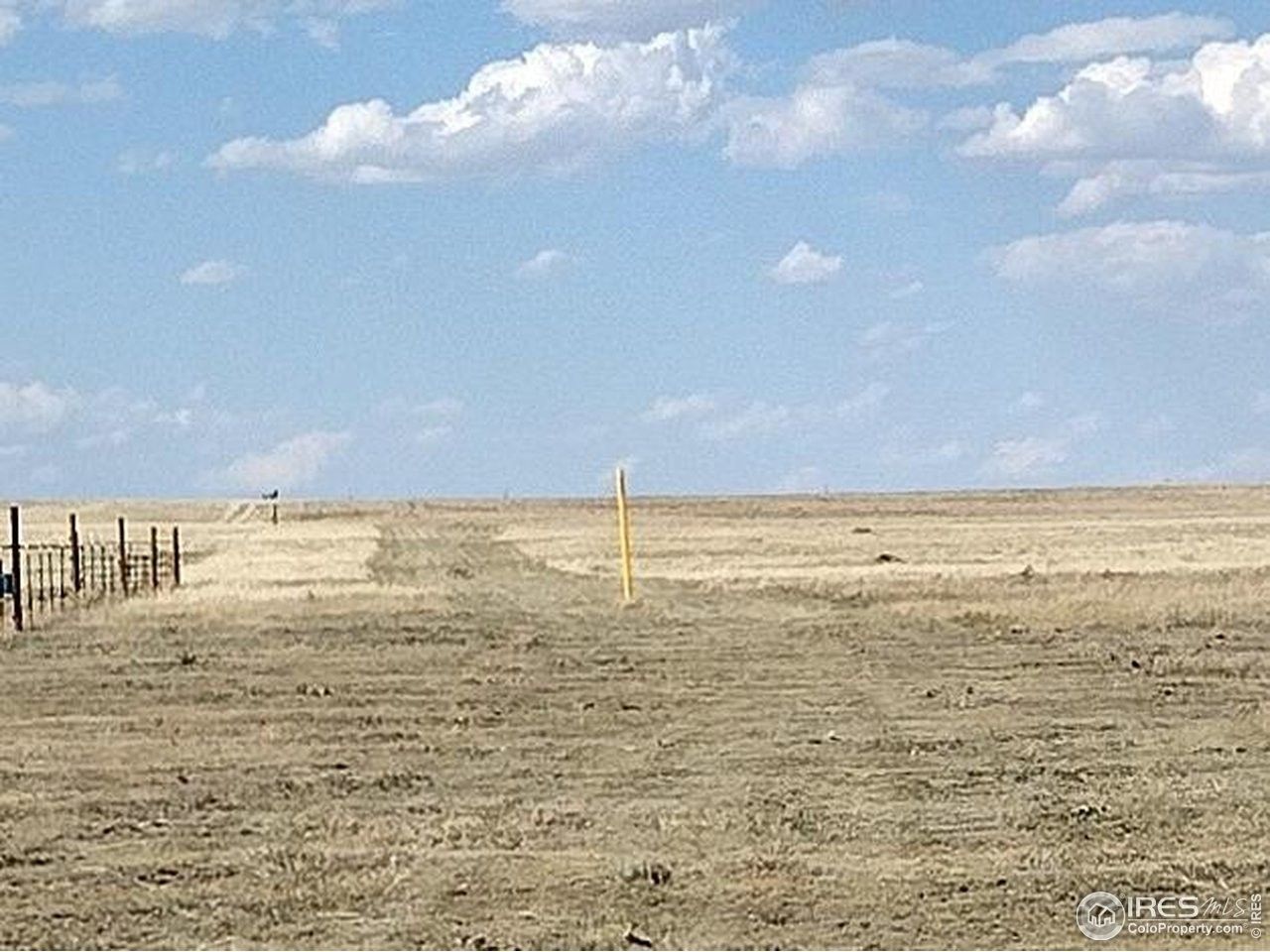 35 acres in Weld County, Colorado