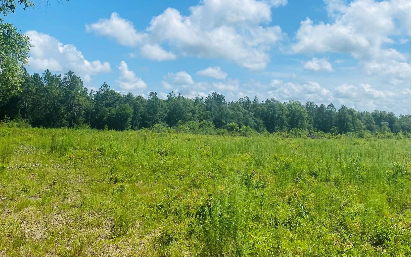 10 acres in Madison County, Florida