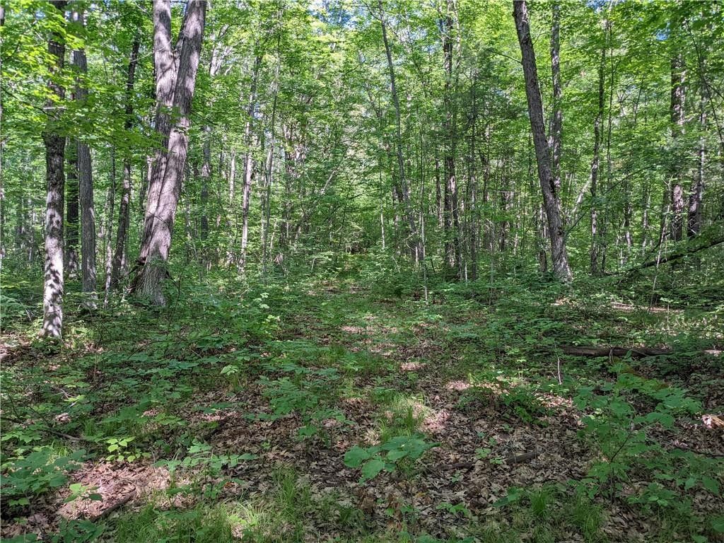 1 acres in Sawyer County, Wisconsin