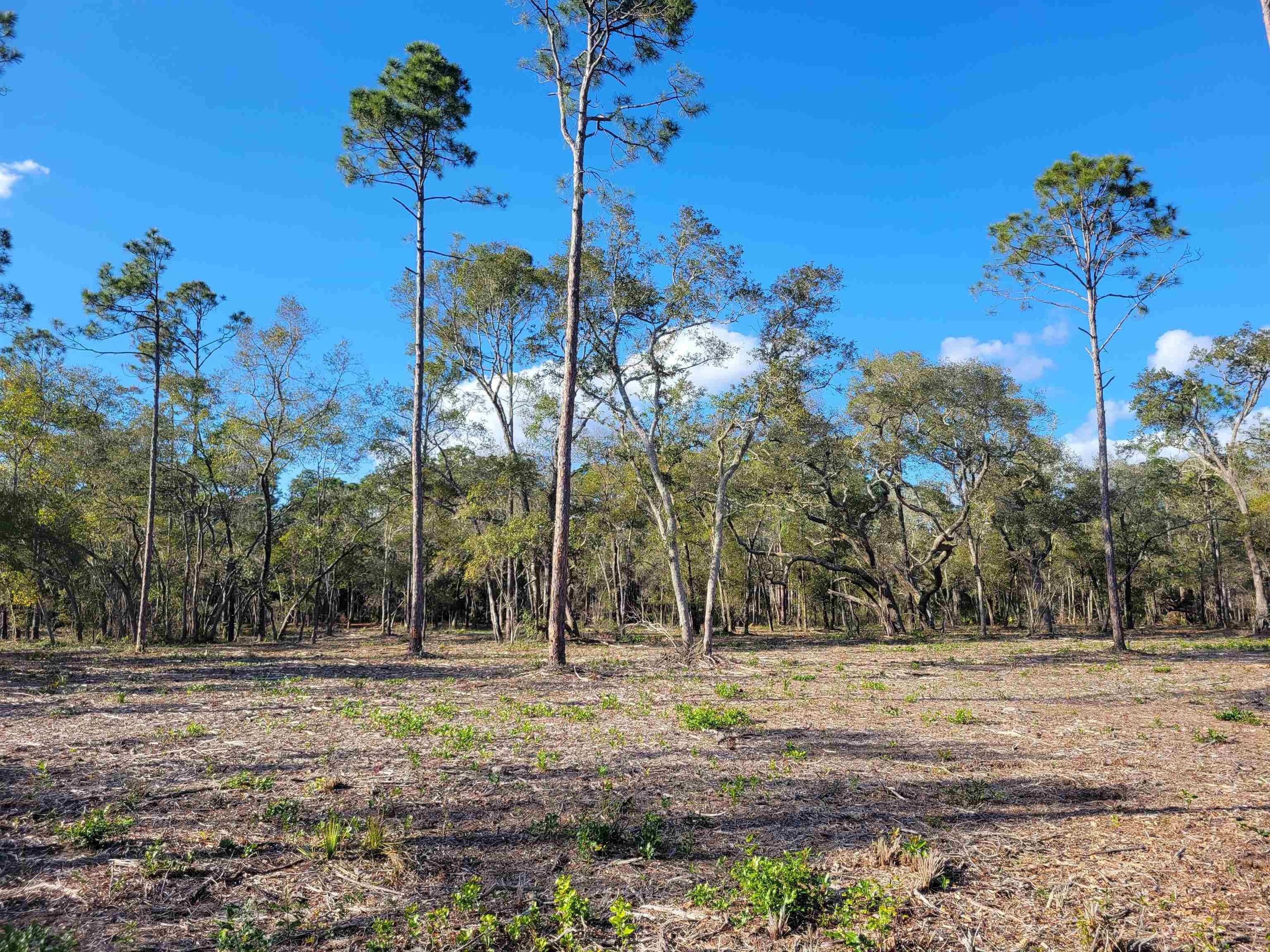 2 acres in Wakulla County, Florida