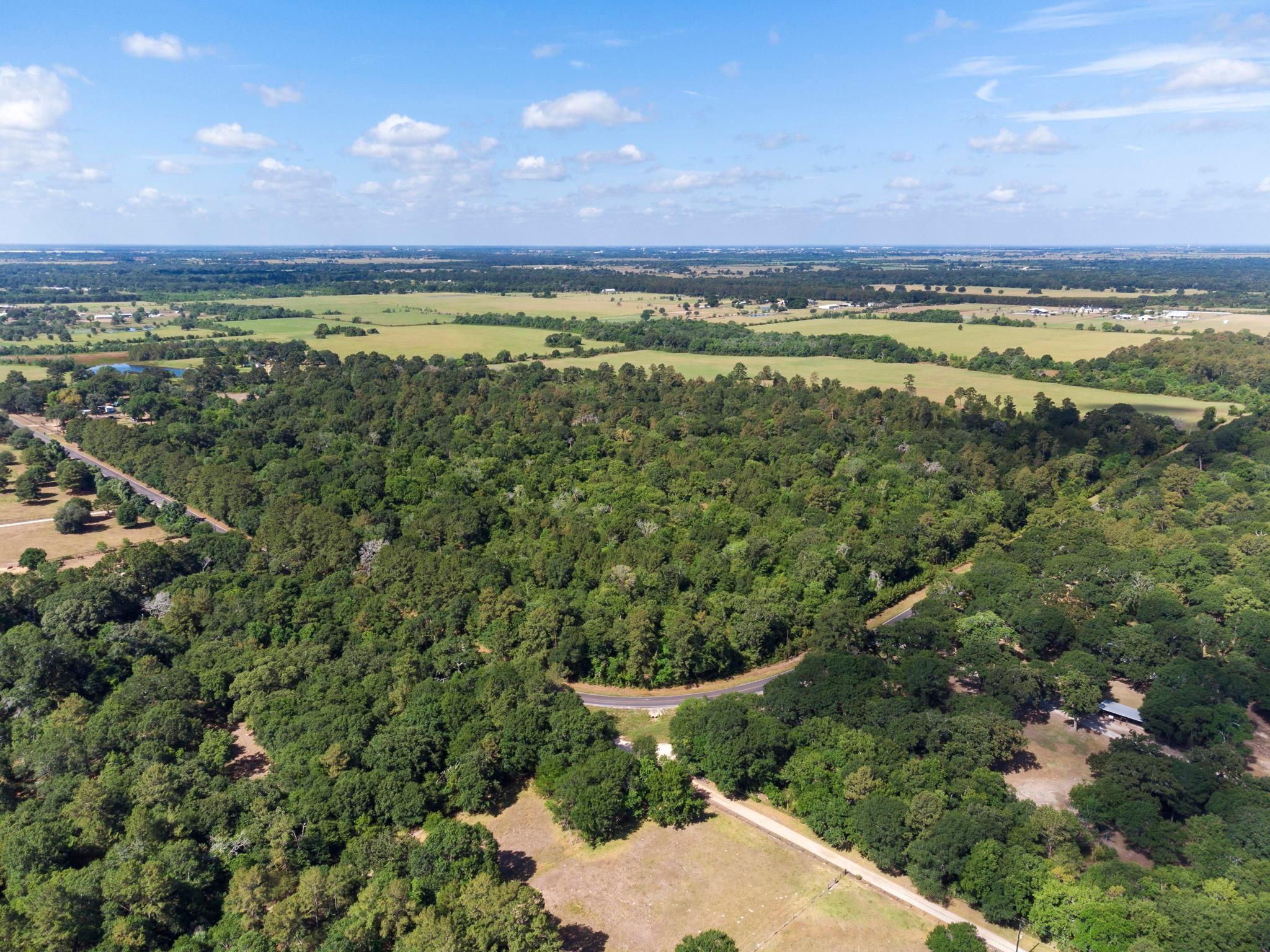 117-45-acres-in-waller-county-texas