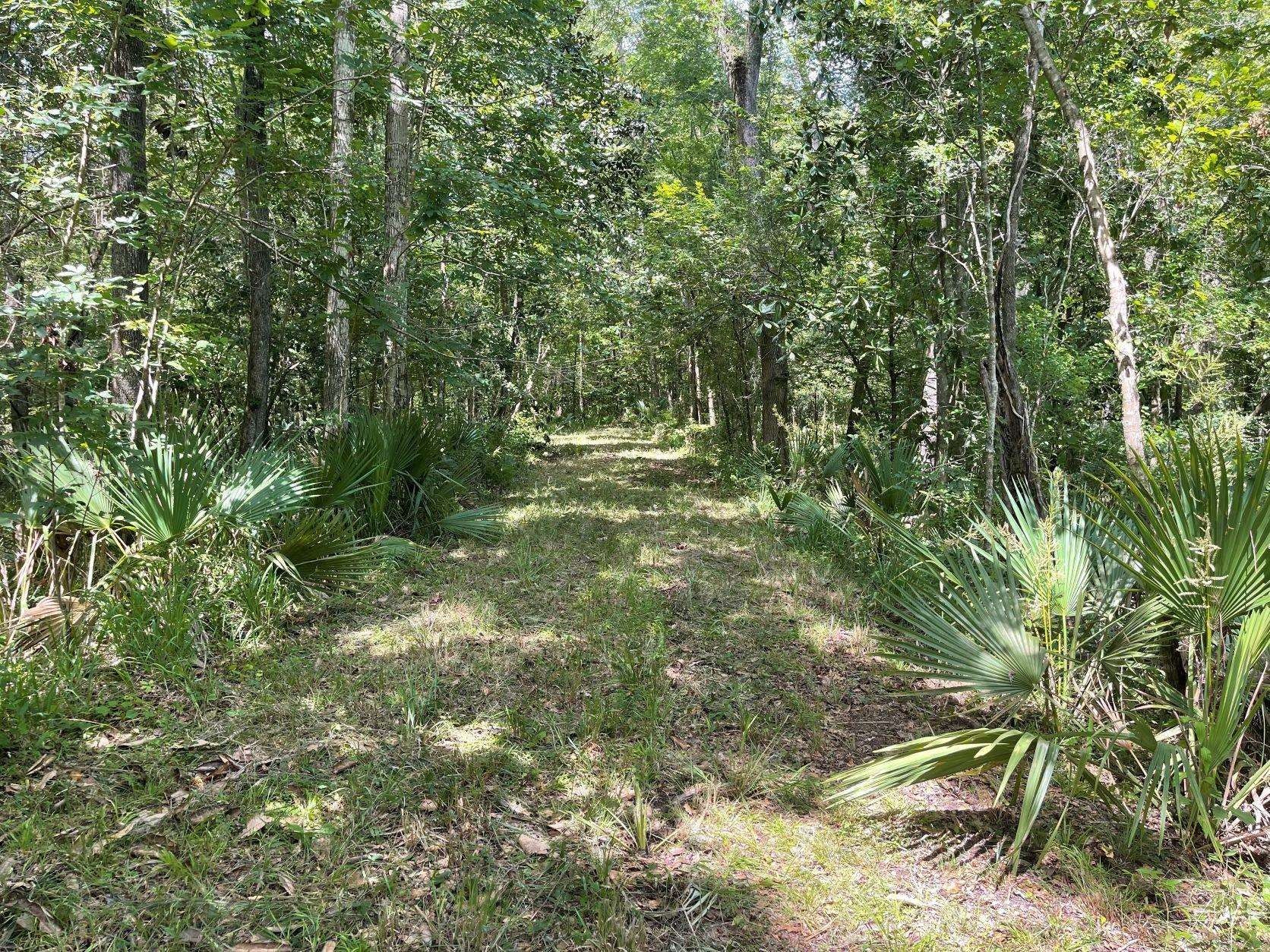 24 acres in Gadsden County, Florida