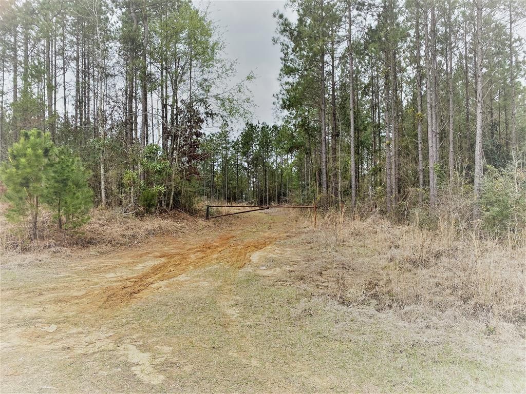 40 acres in Jones County, Mississippi