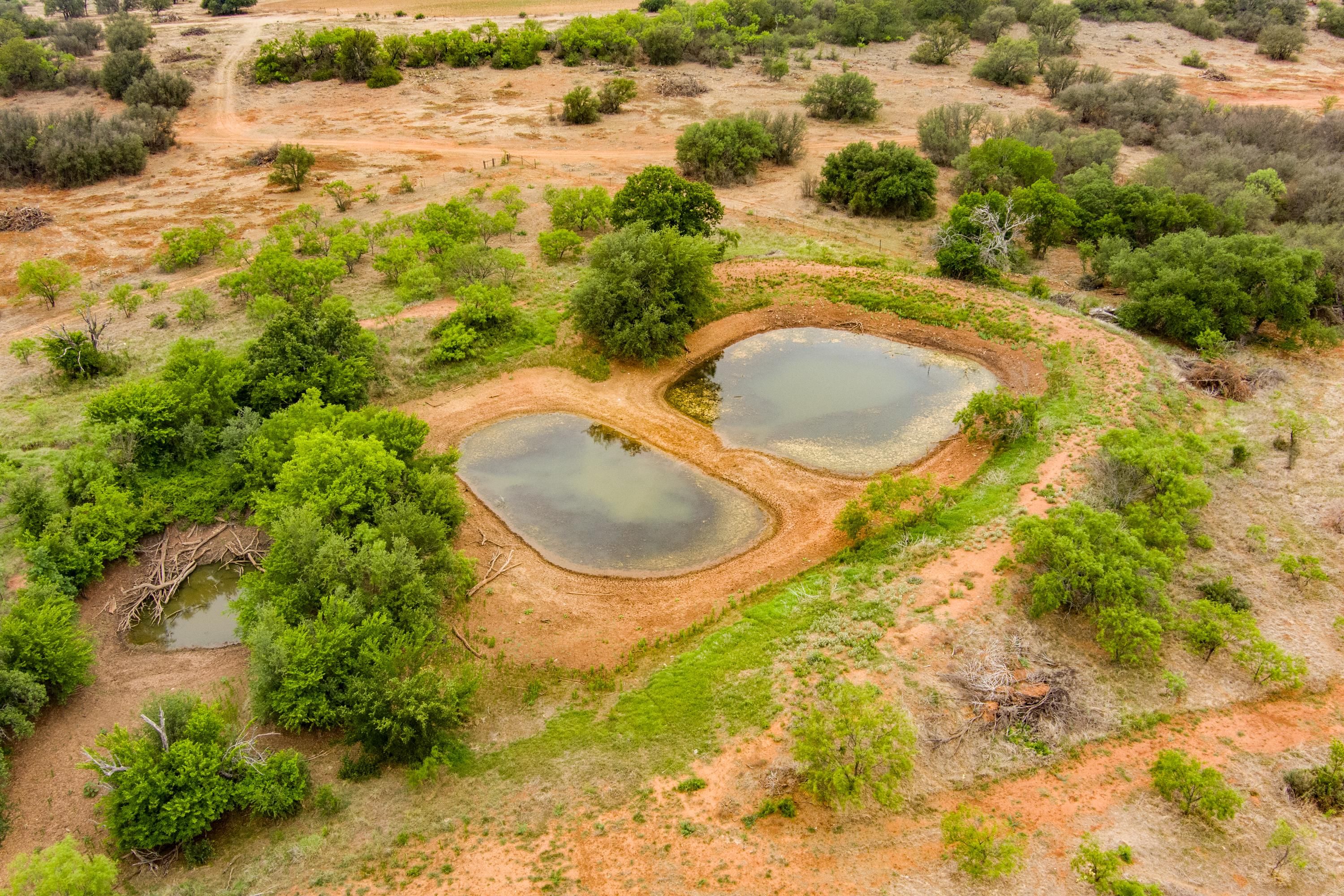 48 acres in Callahan County, Texas