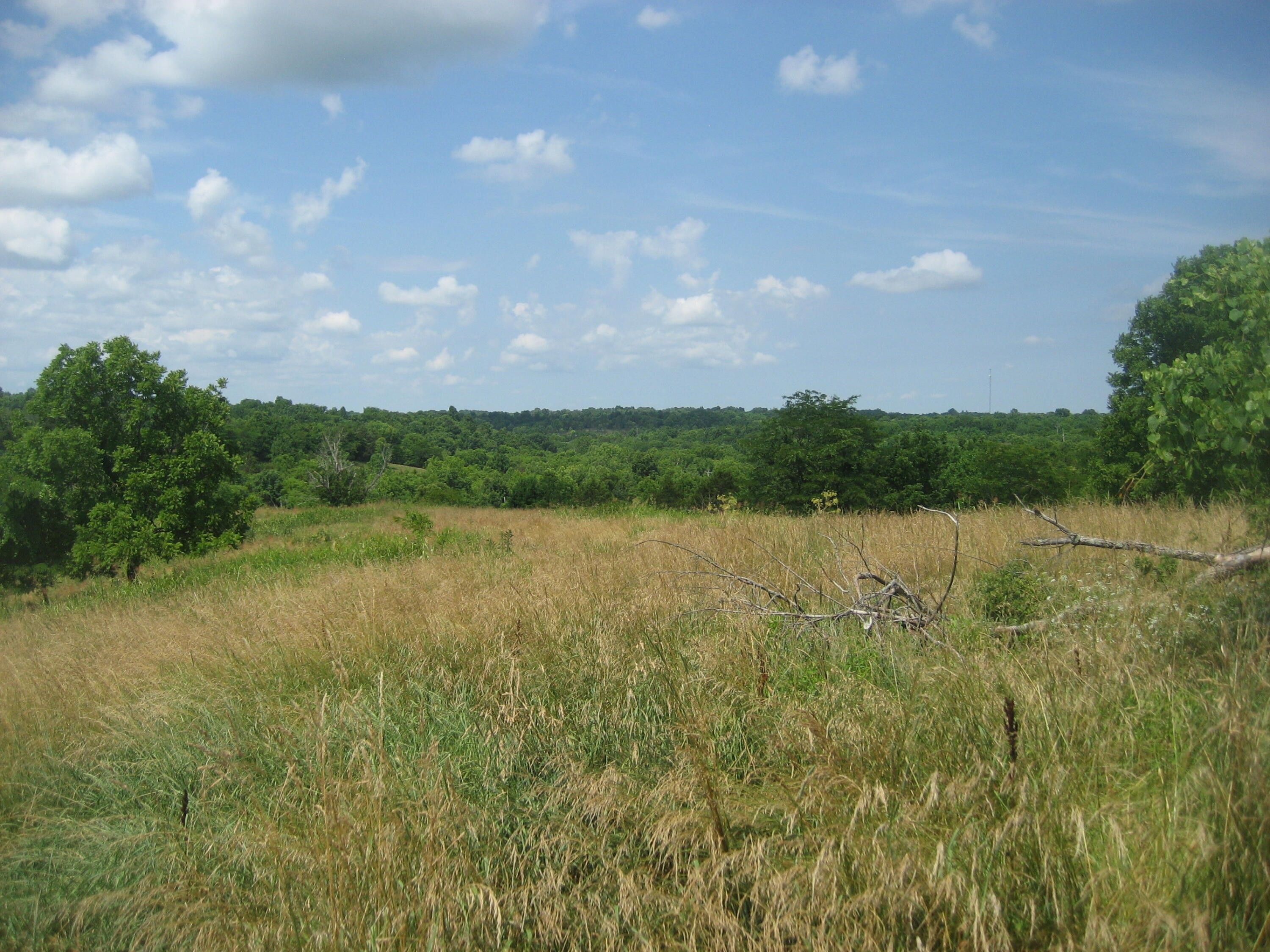 11.5 acres in Mercer County, Kentucky