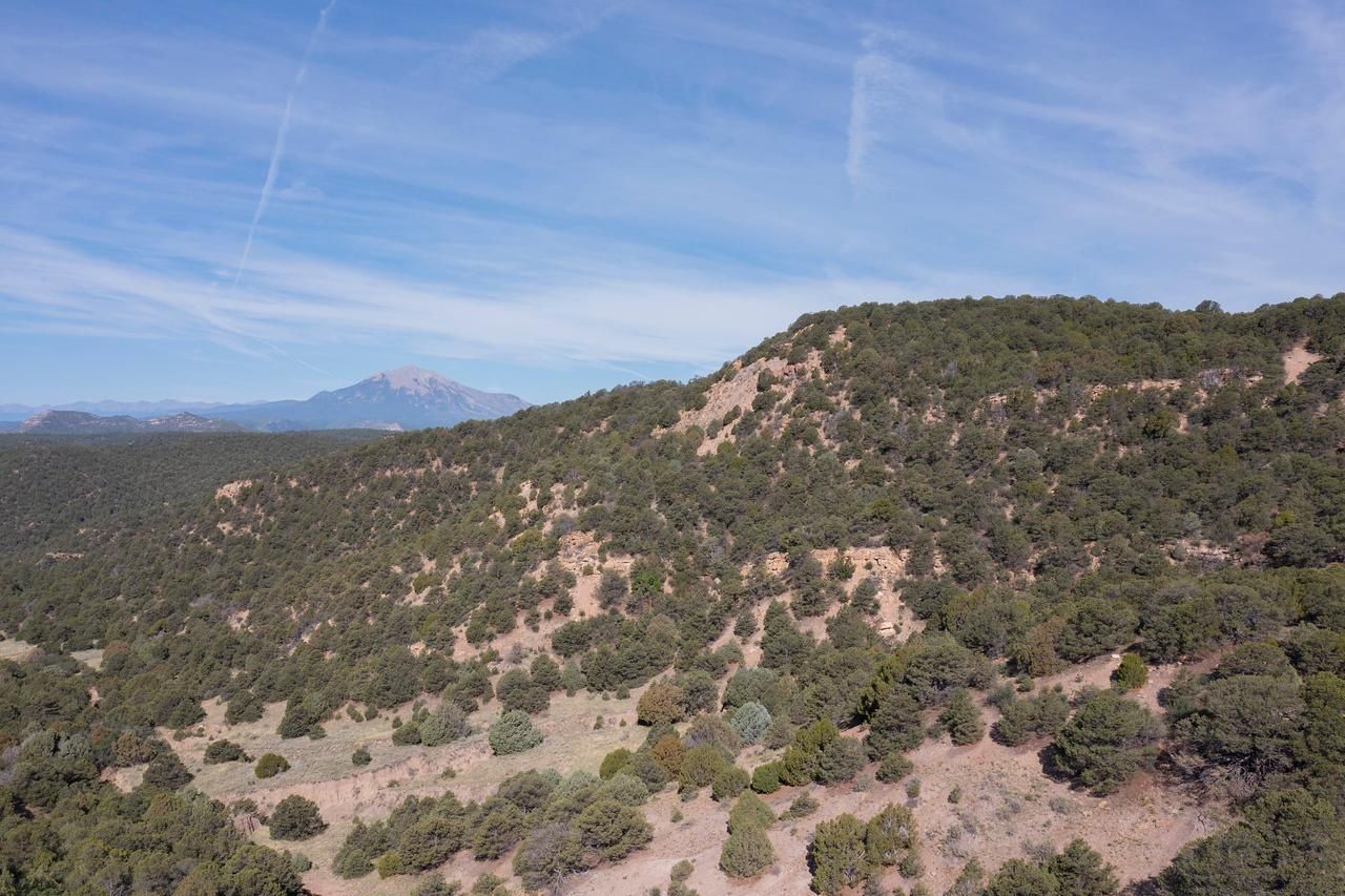 180 acres in Las Animas County, Colorado