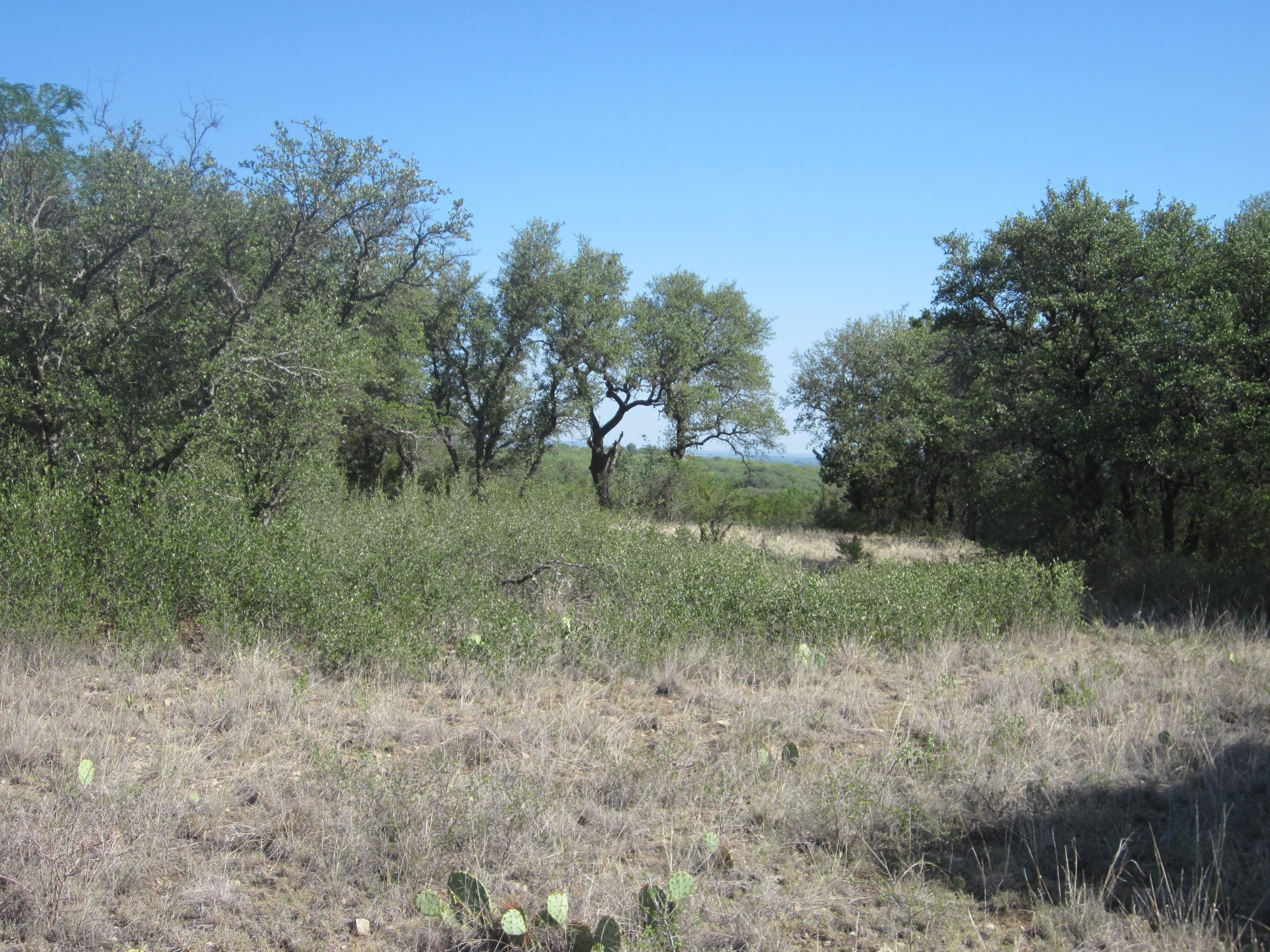 163 acres in Callahan County, Texas