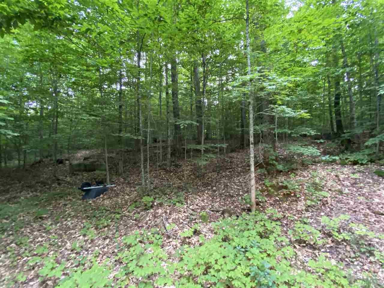 4.77 acres in Emmet County, Michigan