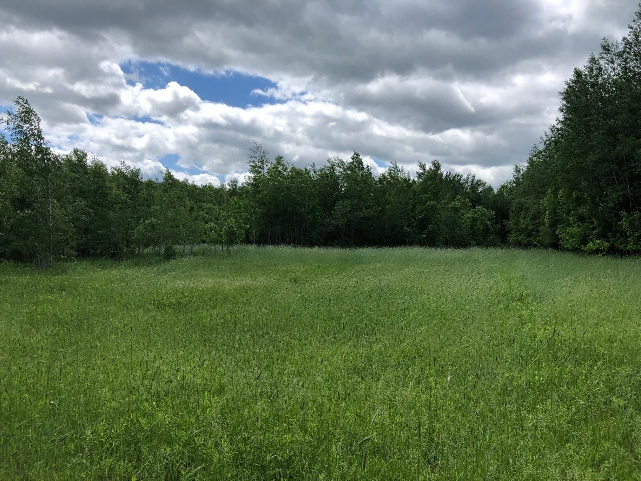 80 acres in Forest County, Wisconsin