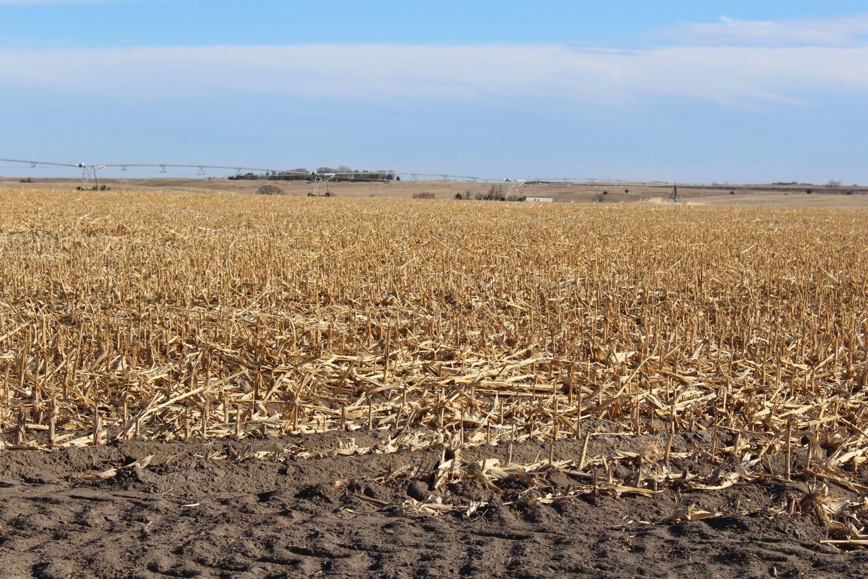 153.82 acres in Brown County, Nebraska